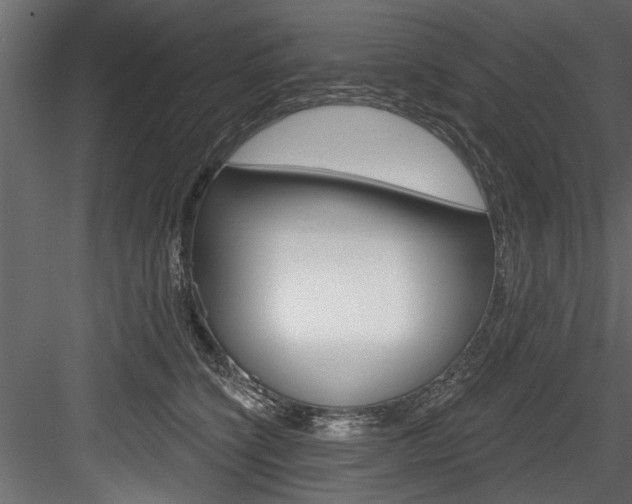 X0000084520564200702230841