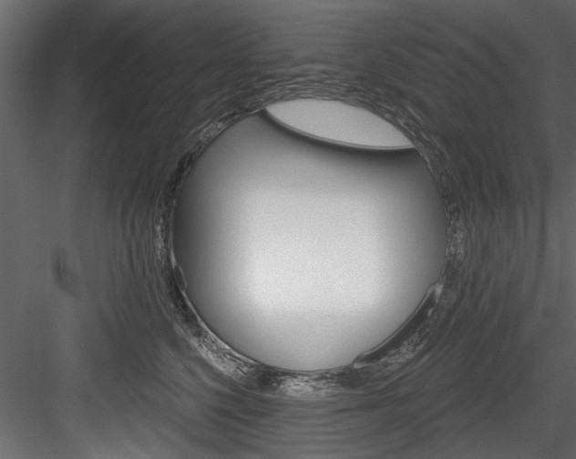X0000084520568200702230841
