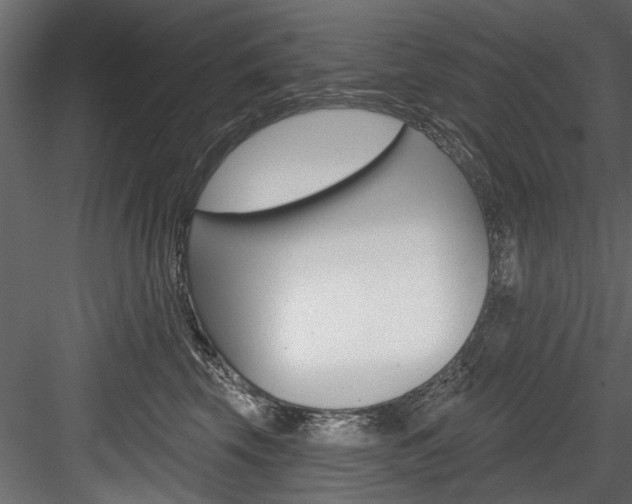 X0000084520569200702230841