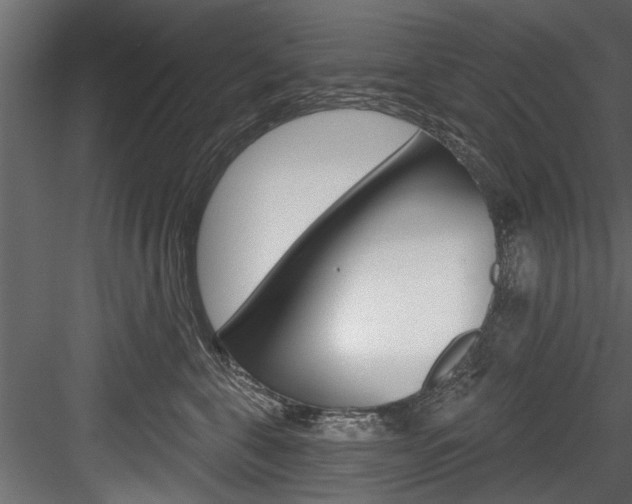 X0000084520571200702230841