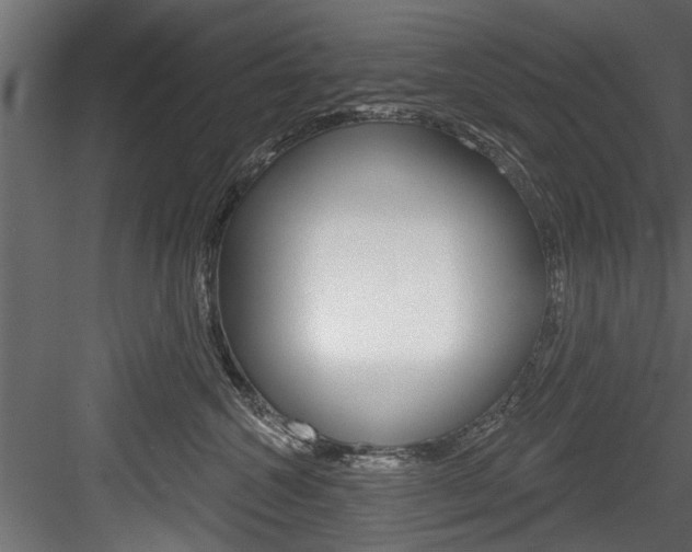 X0000084520572200702230841