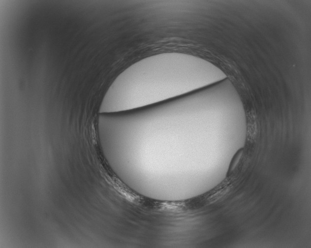 X0000084520573200702230841
