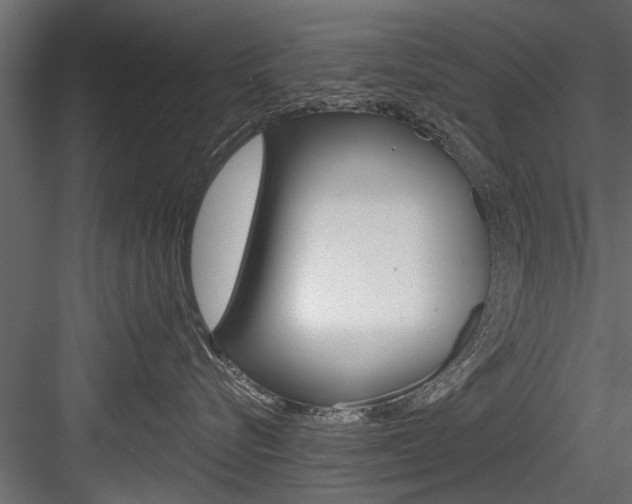 X0000084520576200702230841