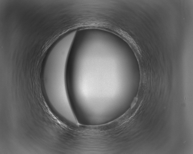 X0000084520577200702230840