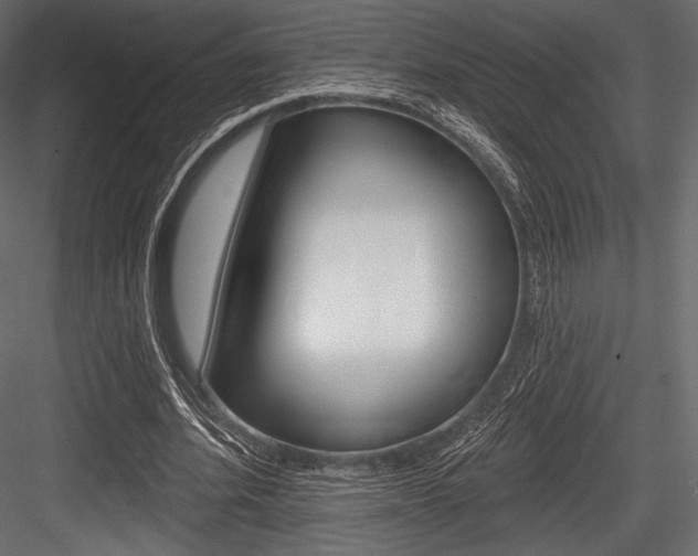 X0000084520580200702230840