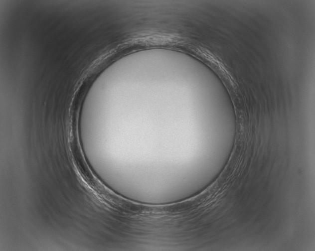 X0000084520582200702230840