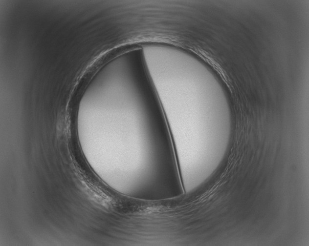 X0000084520584200702230840