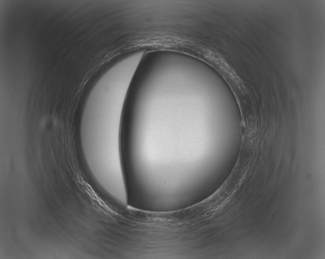 X0000084520585200702230840