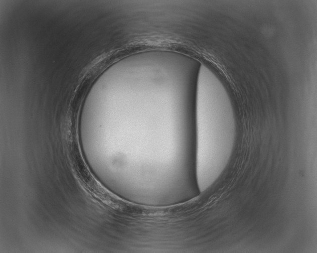 X0000084520587200702230840