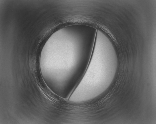 X0000084520588200702230840