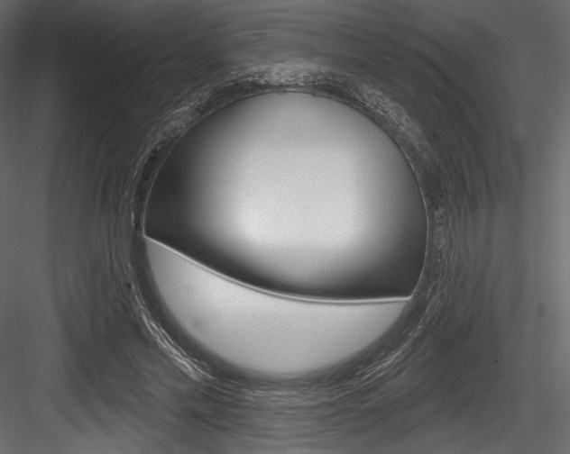 X0000084520589200702230840