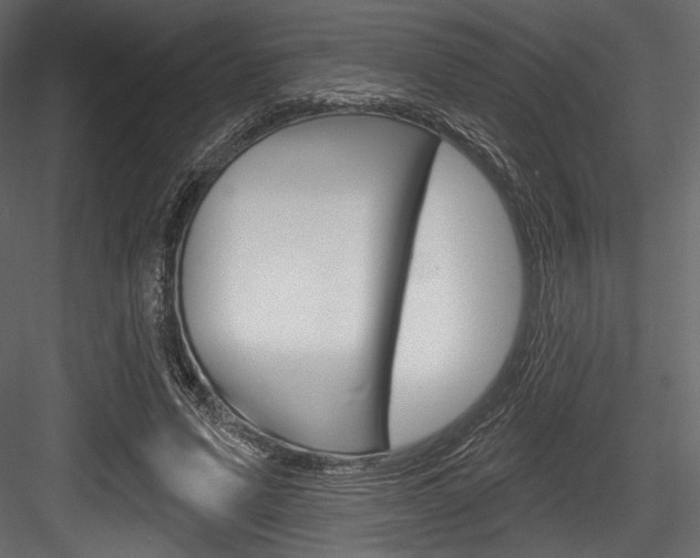 X0000084520591200702230840