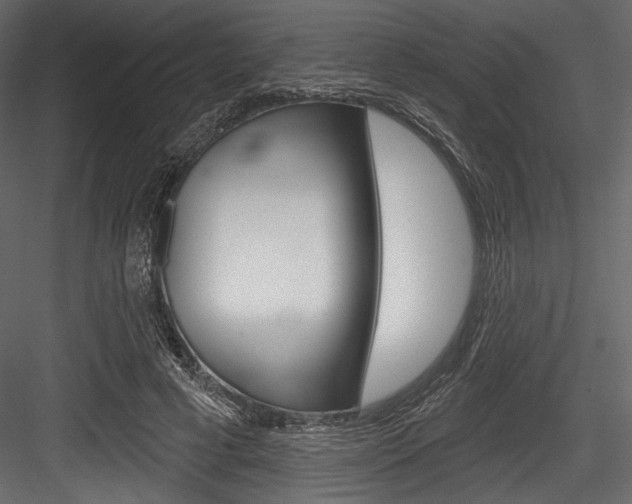 X0000084520593200702230840