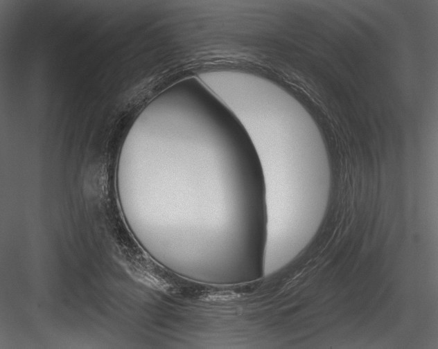 X0000084520595200702230840