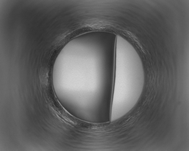 X0000084520596200702230840