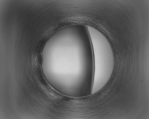 X0000084520597200702230840