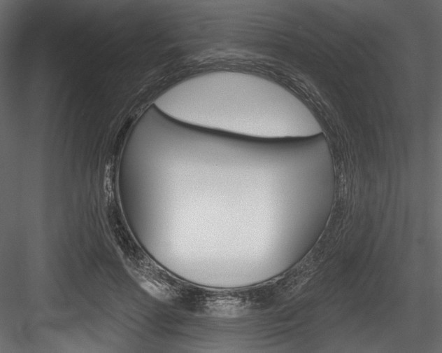 X0000084520598200702230840