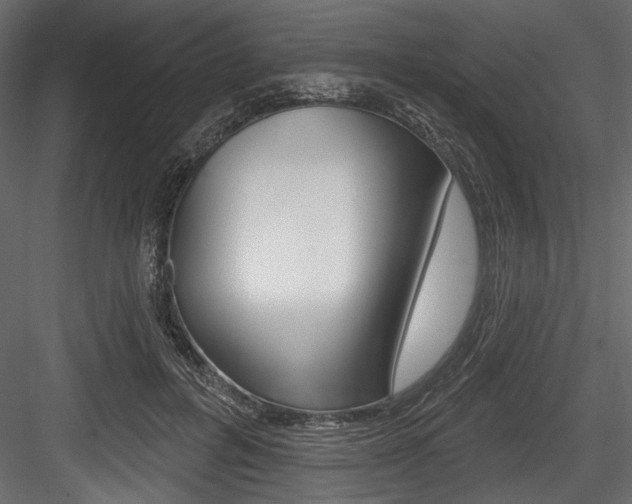 X0000084520600200702230840