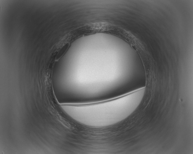 X0000084520601200702230840