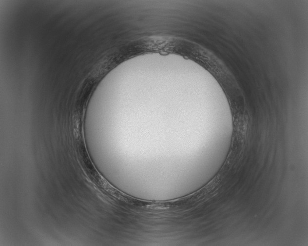 X0000084520602200702230840