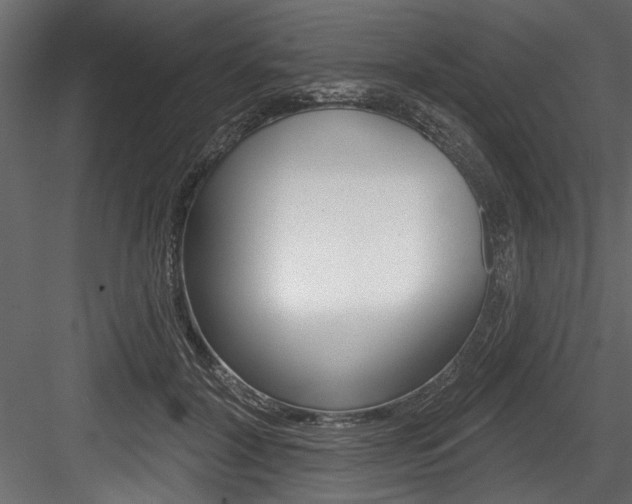 X0000084520604200702230840