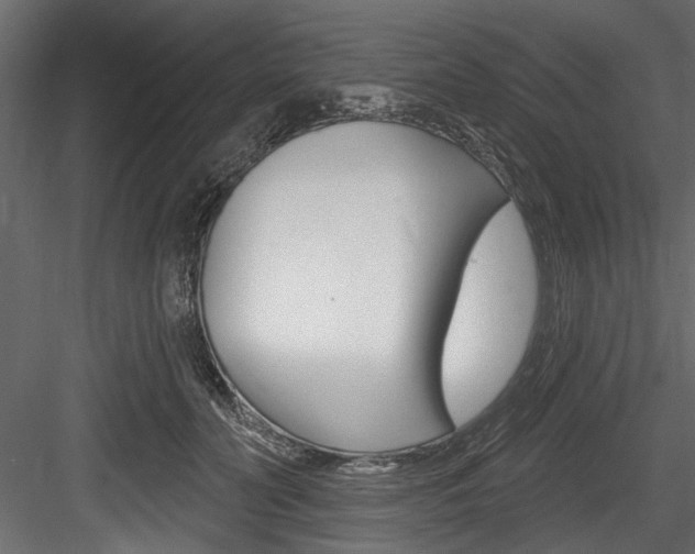 X0000084520606200702230840