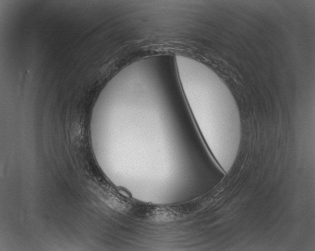 X0000084520608200702230840