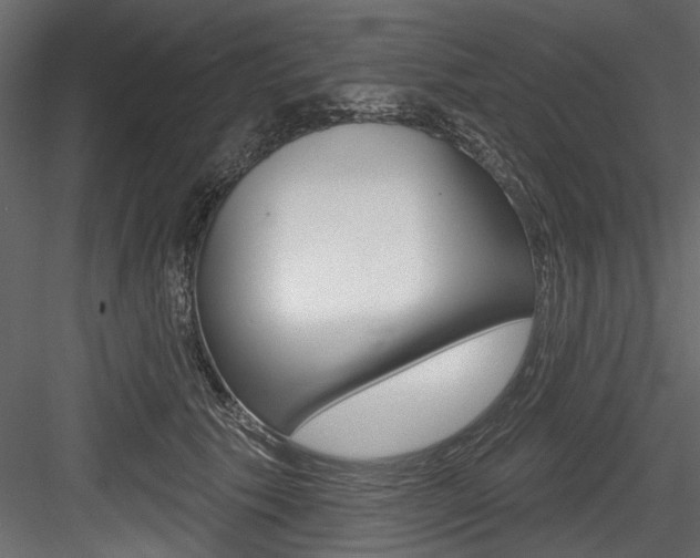 X0000084520609200702230840