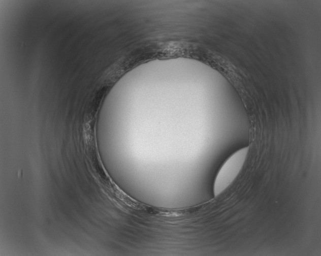 X0000084520611200702230839