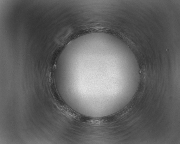 X0000084520615200702230839