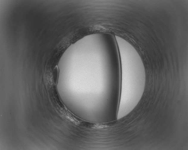 X0000084520617200702230839