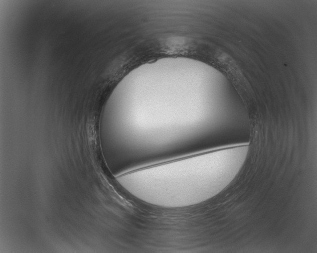 X0000084520620200702230839