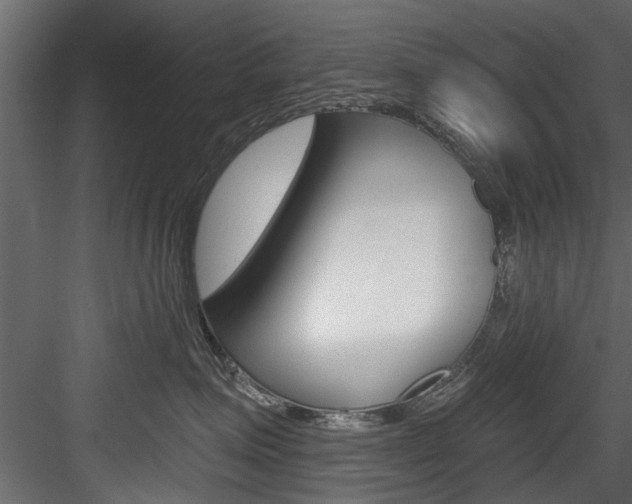 X0000084520623200702230839