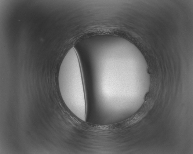 X0000084520624200702230839
