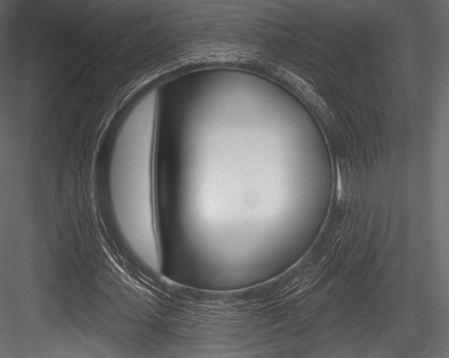 X0000084520627200702230838