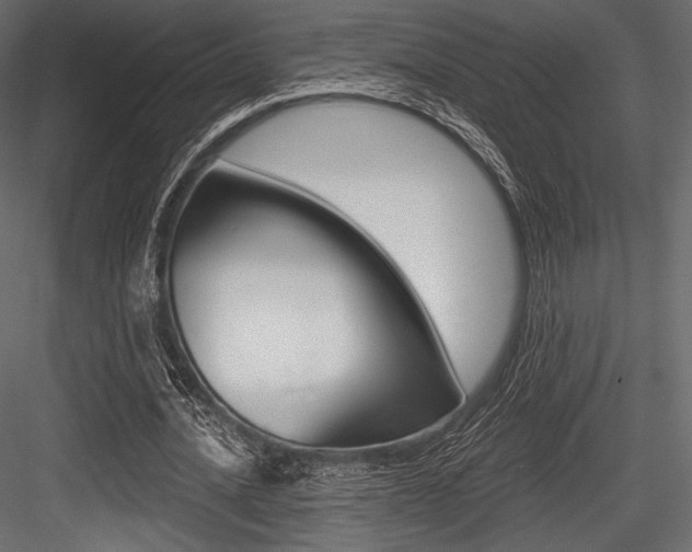 X0000084520628200702230838