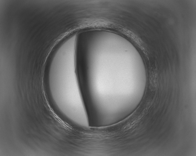 X0000084520629200702230839