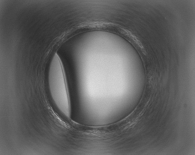 X0000084520633200702230839