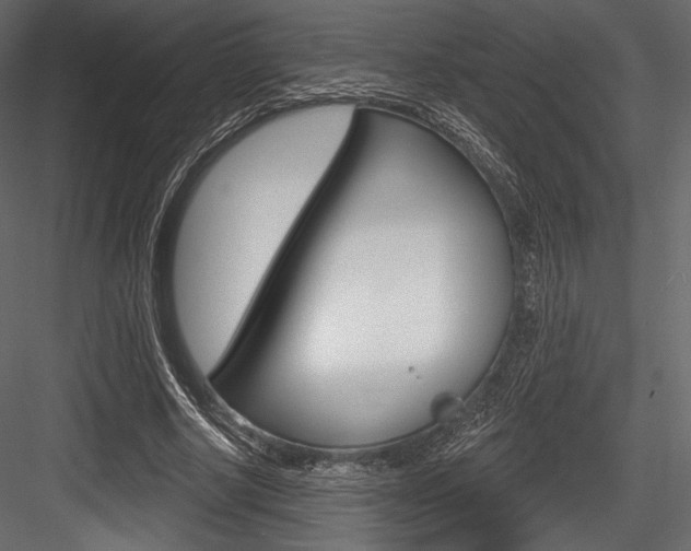 X0000084520634200702230839
