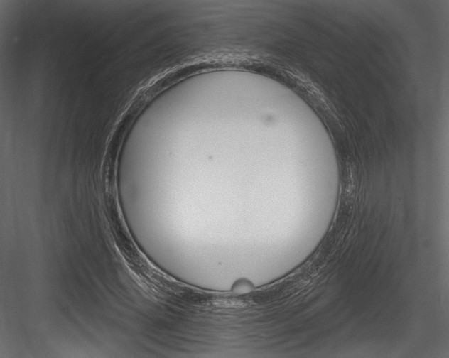 X0000084520636200702230839