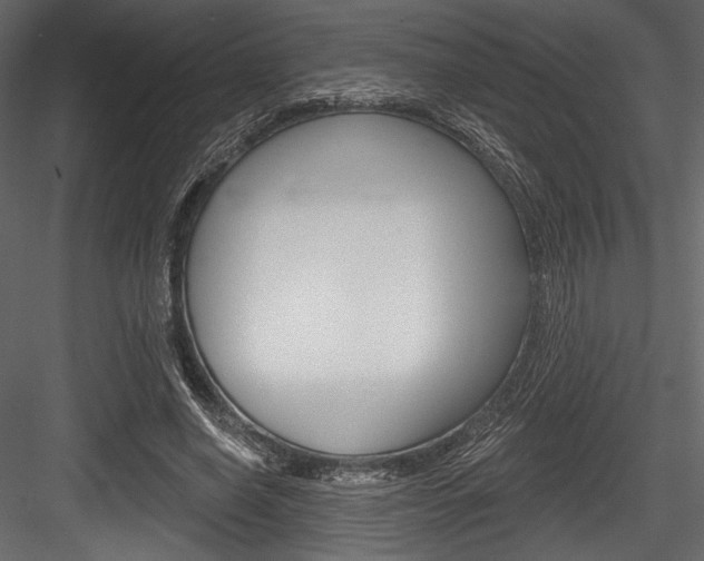 X0000084520638200702230839