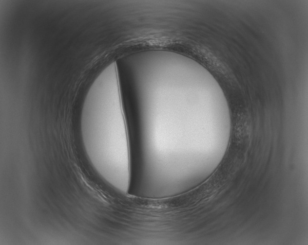 X0000084520639200702230839