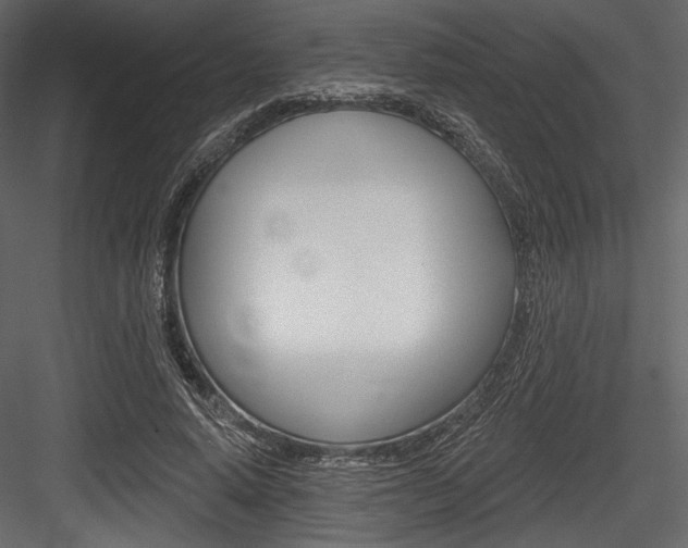 X0000084520640200702230839