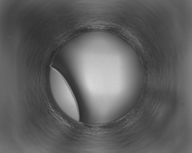 X0000084520641200702230839