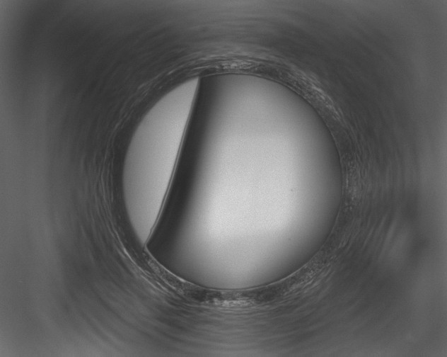 X0000084520645200702230839