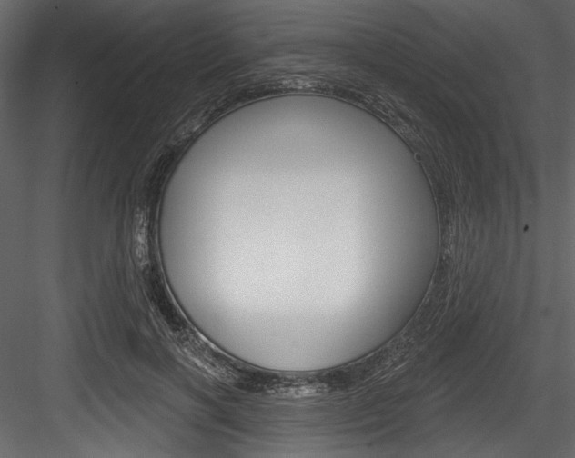 X0000084520646200702230839