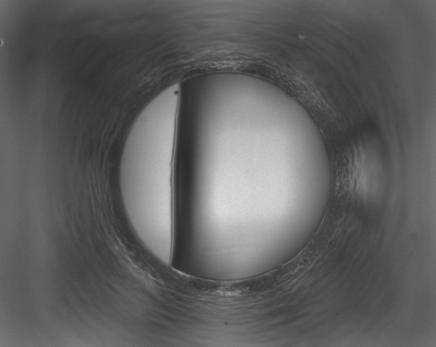 X0000084520647200702230839