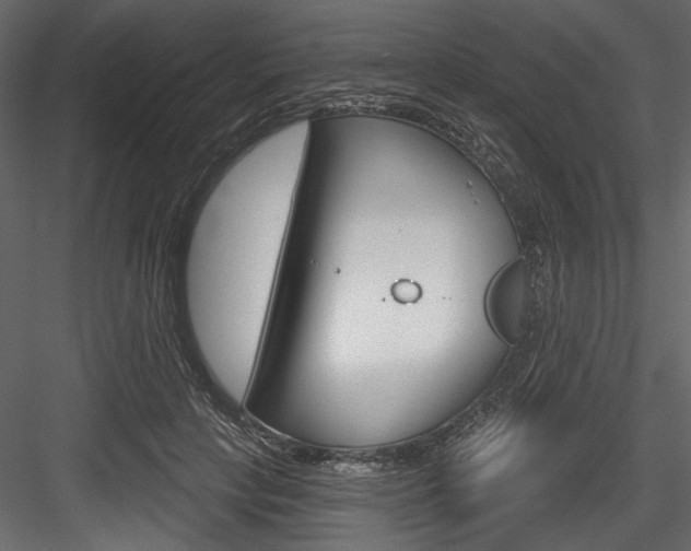 X0000084520649200702230839