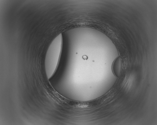 X0000084520651200702230839