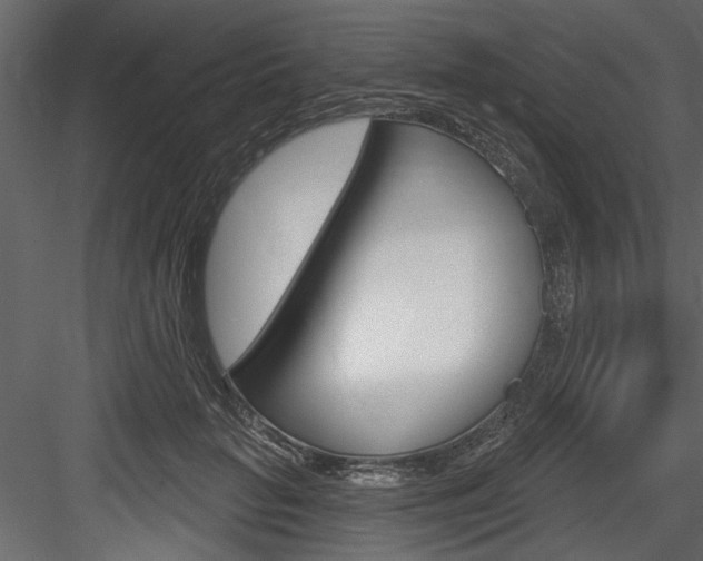 X0000084520653200702230839
